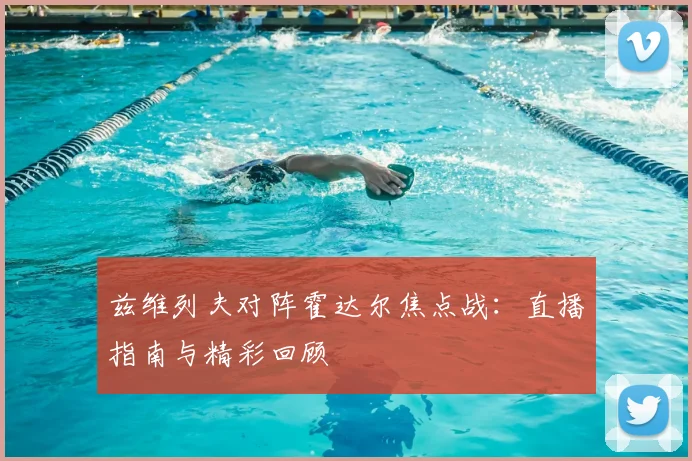 兹维列夫对阵霍达尔焦点战：直播指南与精彩回顾